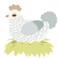 A white and silver chicken with a lace pattern