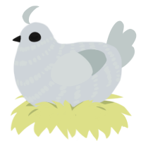 haunted child, a mist and silver chicken with a bar pattern