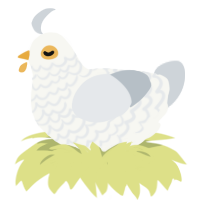 seagull, a white and mist chicken with a lace pattern
