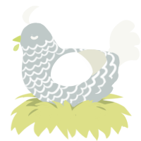 Pretty Good, a silver and white chicken with a lace pattern