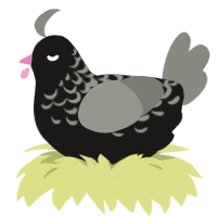 Lenticular Galaxy, a sable and ash chicken with a half-lace pattern