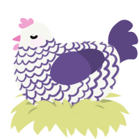 A white and overcast chicken with a lace pattern