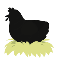 My Birthday Chicken, a black chicken with a half-bar pattern