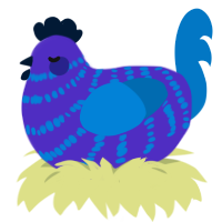 Clone, a indigo and sapphire chicken with a bar pattern