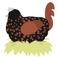 (unnamed), a sable and russet chicken with a speckle pattern