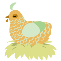 Gold-Magnet, a honey and gluppy chicken with a lace pattern