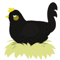 Blackbird, a black and sable chicken with a lace pattern
