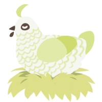Lacey Lace, a white and lemon chicken with a lace pattern