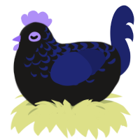 Forget me not, a sable and navy chicken with a half-lace pattern