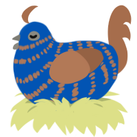 A ultramarine and brown chicken with a bar pattern