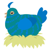 Calvin, a teal and sapphire chicken with a bar pattern