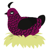 A wine and black chicken with a lace pattern