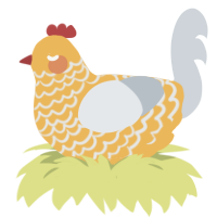 Honey Apple, a honey and mist chicken with a lace pattern