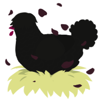 (unnamed), a black chicken with a lace pattern