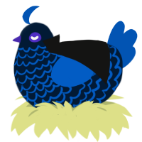Nightwing, a tumblr and ultramarine chicken with a lace pattern