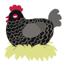 (unnamed), a black and grey chicken with a lace pattern