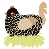 A black and beige chicken with a lace pattern