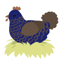 Enigma, a navy and bark chicken with a lace pattern