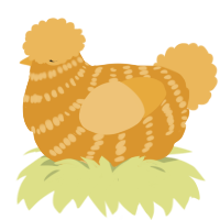 (unnamed), a orange and honey chicken with a bar pattern