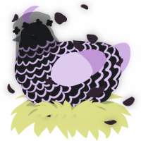 A sable and orchid chicken with a lace pattern