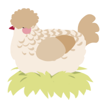 Crepe, a cream and beige chicken with a half-lace pattern
