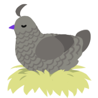 A ash and grey chicken with a lace pattern