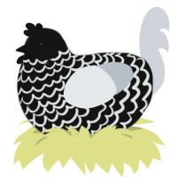 blackberry smoothie, a black and mist chicken with a lace pattern