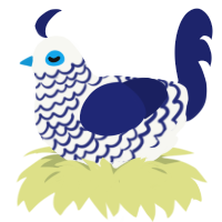 Inky, a white and navy chicken with a lace pattern