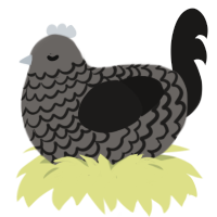 Thanatophobia, a grey and sable chicken with a lace pattern