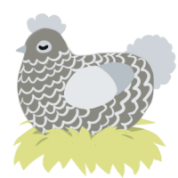 (unnamed), a ash and mist chicken with a lace pattern