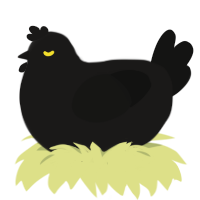O-02-40, a sable and black chicken