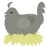 ash zz, a ash chicken