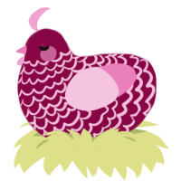 (unnamed), a maroon and pink chicken with a lace pattern