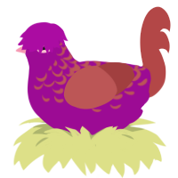 Sunset, a plum and red chicken with a half-lace pattern