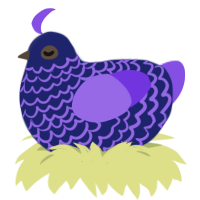 A navy and blurple chicken with a lace pattern