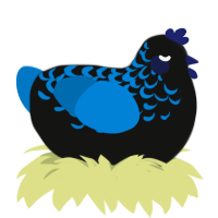 Micro-Organism, a black and sapphire chicken with a half-lace pattern