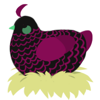 Lovesick, a black and wine chicken with a lace pattern
