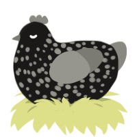 A sable and ash chicken with a speckle pattern