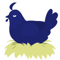 (unnamed), a navy chicken with a head pattern