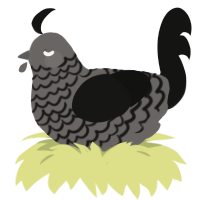 (unnamed), a grey and black chicken with a lace pattern