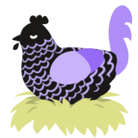 (unnamed), a sable and lilac chicken with a lace pattern