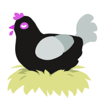 (unnamed), a sable and silver chicken