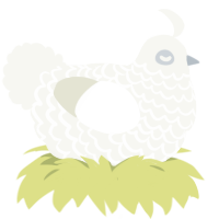White Mold, a white chicken with a lace pattern