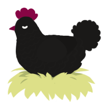 Obsidian, a sable chicken with a lace pattern