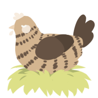 A beige and bark chicken with a bar pattern