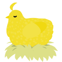 Maize, a yellow chicken with a speckle pattern