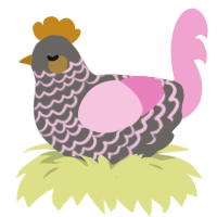 A7P4, a grey and pink chicken with a lace pattern