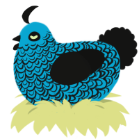 A cerulean and black chicken with a double-lace pattern