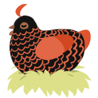 (unnamed), a black and vermilion chicken with a lace pattern