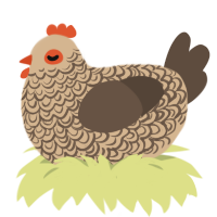 Tato, a beige and bark chicken with a double-lace pattern